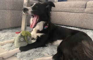 Nina acostada al lado de un peluche de Totoro
