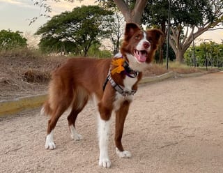 Alyx sonriendo a la cámara.