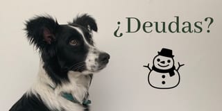 Nina sentada pensativamente la palabra: ¿Deudas?. Debajo del texto hay un mono de nieve.