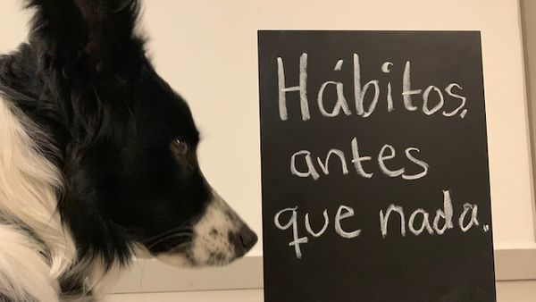 Nina viendo un cartel que dice, escrito con gis: 'Hábitos, antes que nada'.