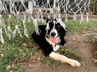 Nina debajo de una hamaca