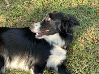 Nina acostada en el parque volteando hacia atrás, sorprendida.
