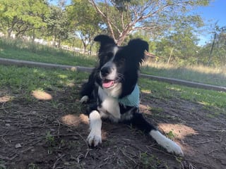 Nina, acostada en la tierra.