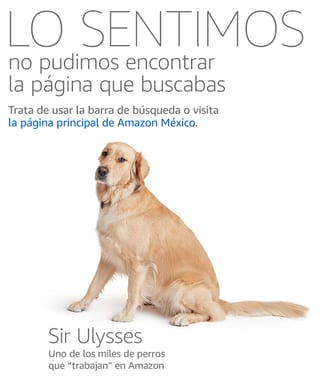 Página 404 de Amazon