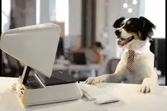 Perro con ropa de oficina sentado frente a una computadora.