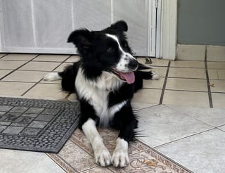 Nina tirando la hueva en el piso.